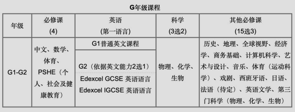 深国交增设AP课程！离“牛剑+藤校双收割机”不远了！  深国交 深圳国际交流学院 国际学校课程 第4张